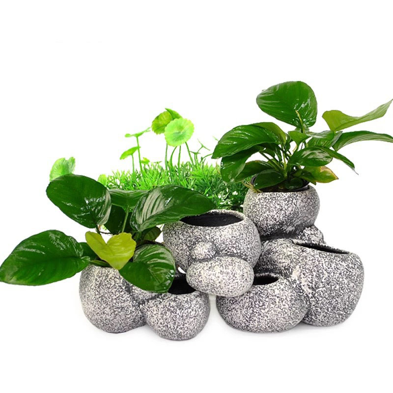 ปลากุ้ง Incubation Shelter Cav - Plant Aquarium Pot บทวิจารณ์และราคา