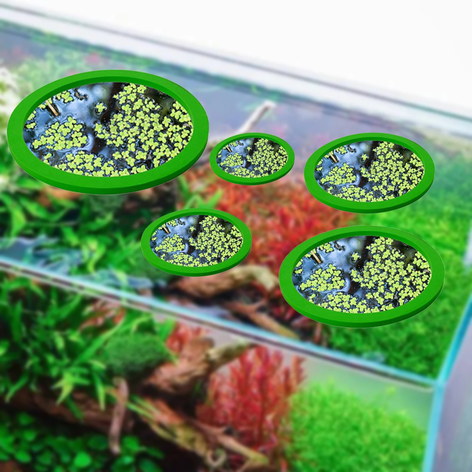 5 ชิ้น EVA ปลา Feeding แหวน Aq - Planted Tank บทวิจารณ์และราคา