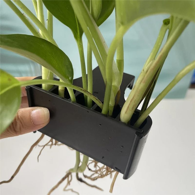 AT05-กระถางต้นไม้สำหรับตู้ปลา  - Live Plant Aquarium บทวิจารณ์และราคา