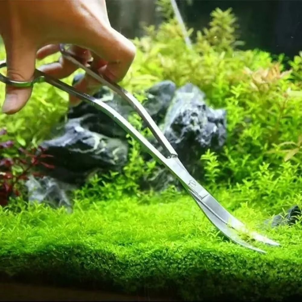 กรรไกรตัดหญ้าในตู้ปลา สแตนเลส  - Planted Aquarium Cleaning บทวิจารณ์และราคา