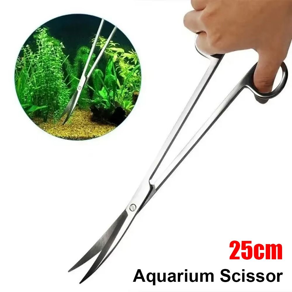 กรรไกรตัดหญ้าในตู้ปลา สแตนเลส  - Planted Aquarium Cleaning บทวิจารณ์และราคา