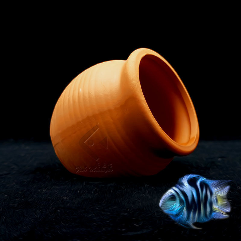 Aquarium Mini เซรามิคถังปลากุ้ - Aquarium Driftwood บทวิจารณ์และราคา