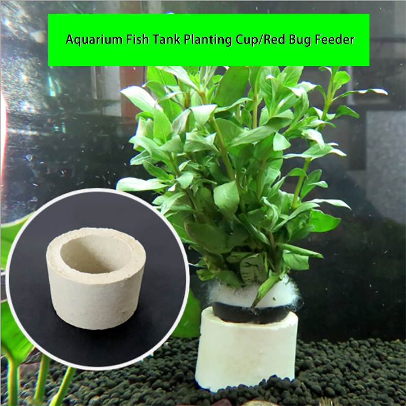 แหวนเซรามิกตกแต่งตู้ปลา, หม้อใ - Plant Aquarium Pot บทวิจารณ์และราคา