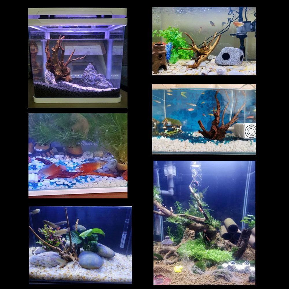 ไม้ลอยน้ำขนาดใหญ่ 20-25 ซม. สำ - Aquarium Driftwood บทวิจารณ์และราคา