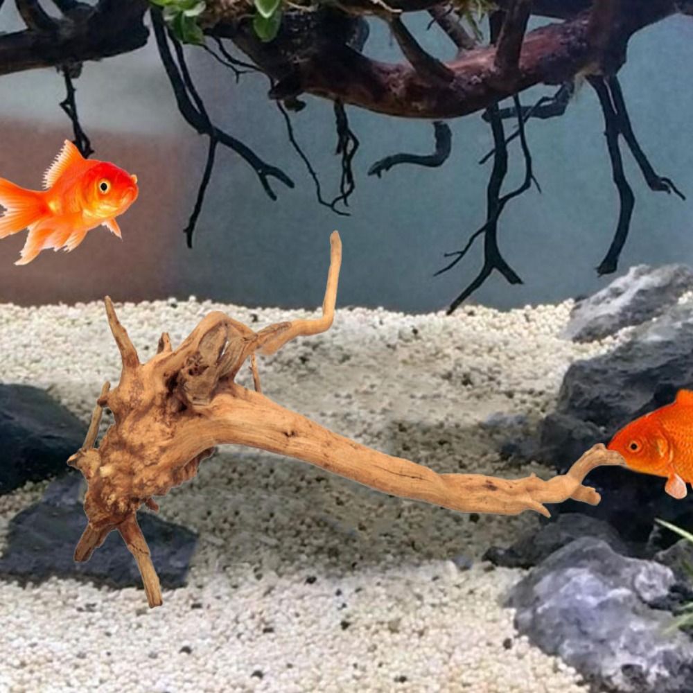 ไม้ลอยน้ำขนาดใหญ่ 20-25 ซม. สำ - Aquarium Driftwood บทวิจารณ์และราคา