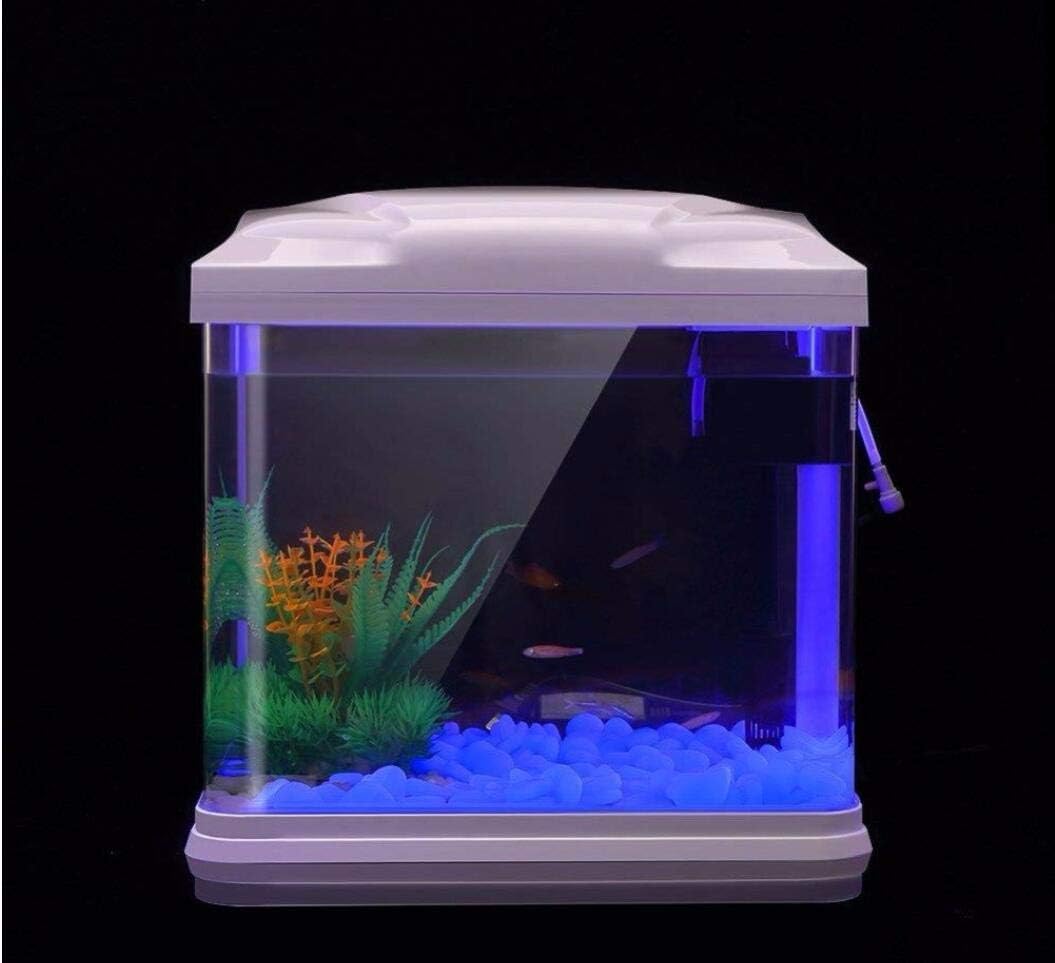 ถังปลา Rocks Glow Blue Pebbles - Plant Aquarium Pot บทวิจารณ์และราคา