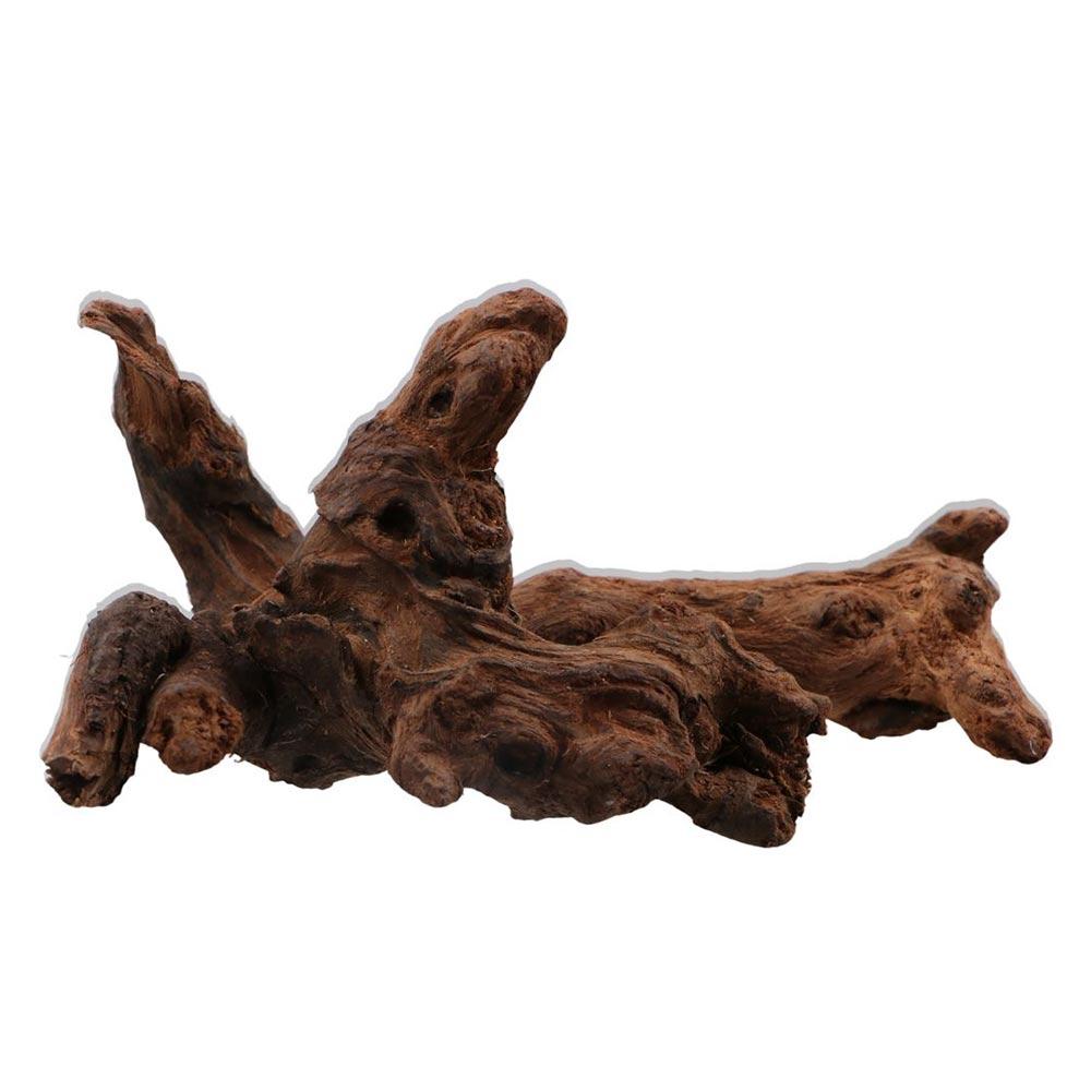 ไม้ปะการังรูปทรงแปลกตา ไม้ธรรม - Aquarium Driftwood บทวิจารณ์และราคา