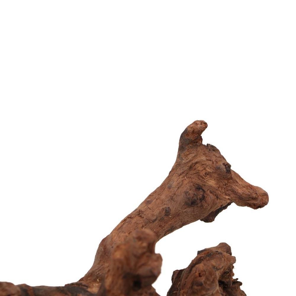 ไม้ปะการังรูปทรงแปลกตา ไม้ธรรม - Aquarium Driftwood บทวิจารณ์และราคา