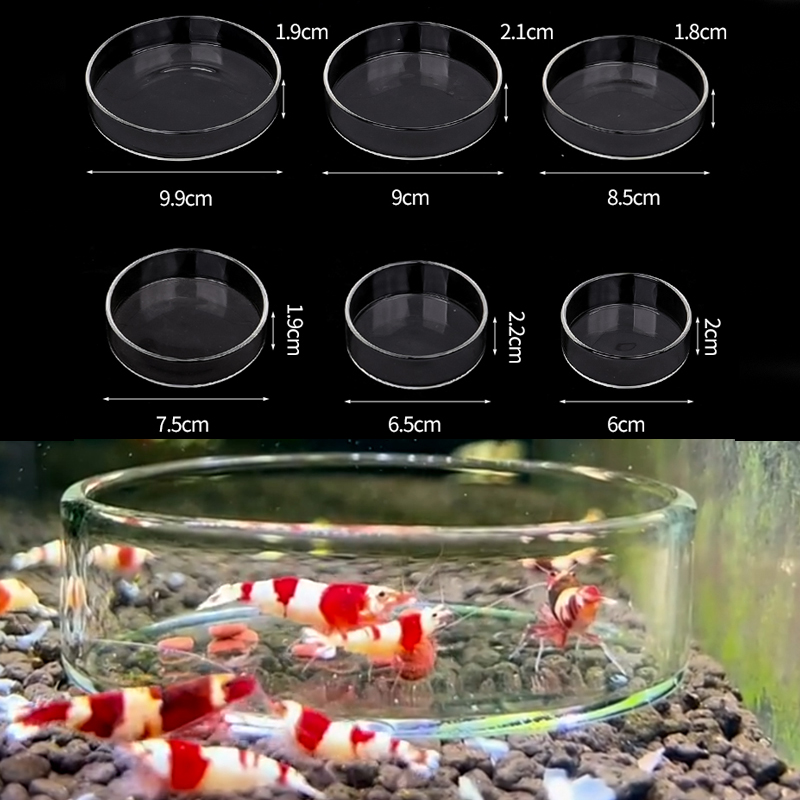 กุ้งจานให้อาหารแก้วโปร่งใสสูงจ - Aquarium Fertilizer บทวิจารณ์และราคา