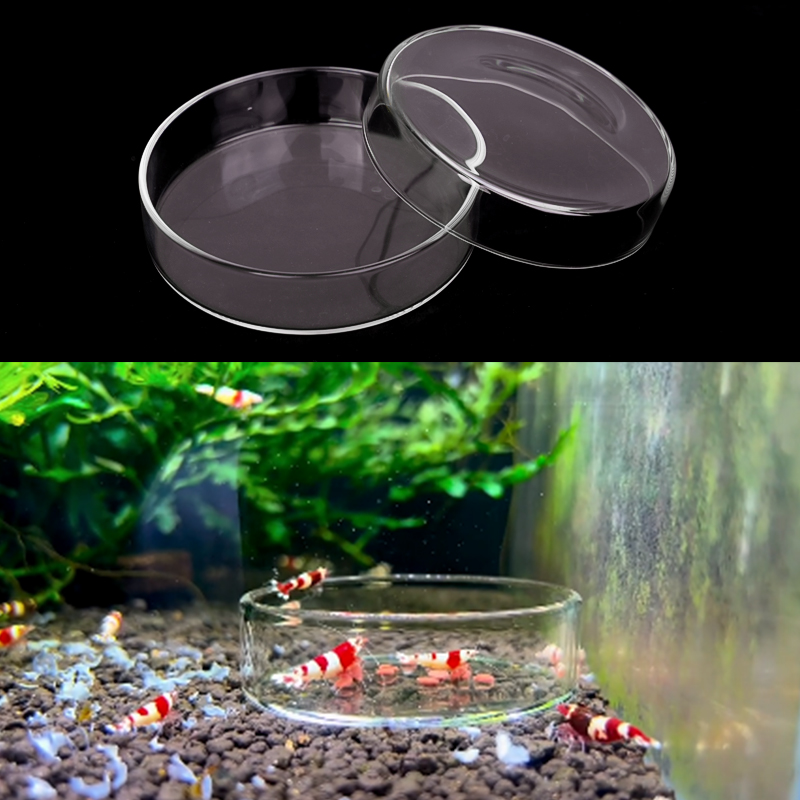 กุ้งจานให้อาหารแก้วโปร่งใสสูงจ - Aquarium Fertilizer บทวิจารณ์และราคา