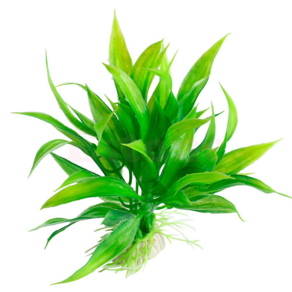 15ซม./10ซม.ประดิษฐ์ใต้น้ำพืชเค - Live Plant Aquarium บทวิจารณ์และราคา