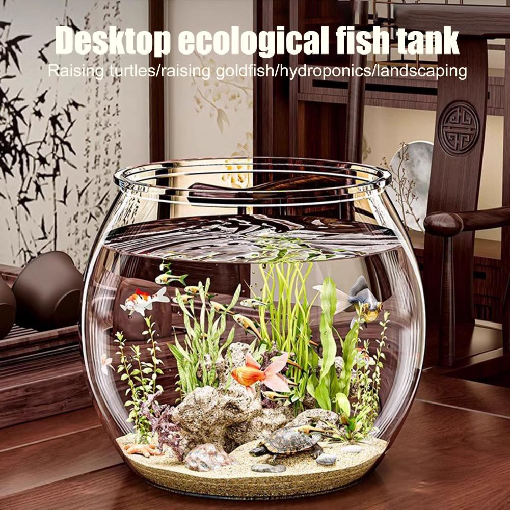 พลาสติกใสรอบชามปลา Aquarium ห้ - Plant Aquarium Pot บทวิจารณ์และราคา
