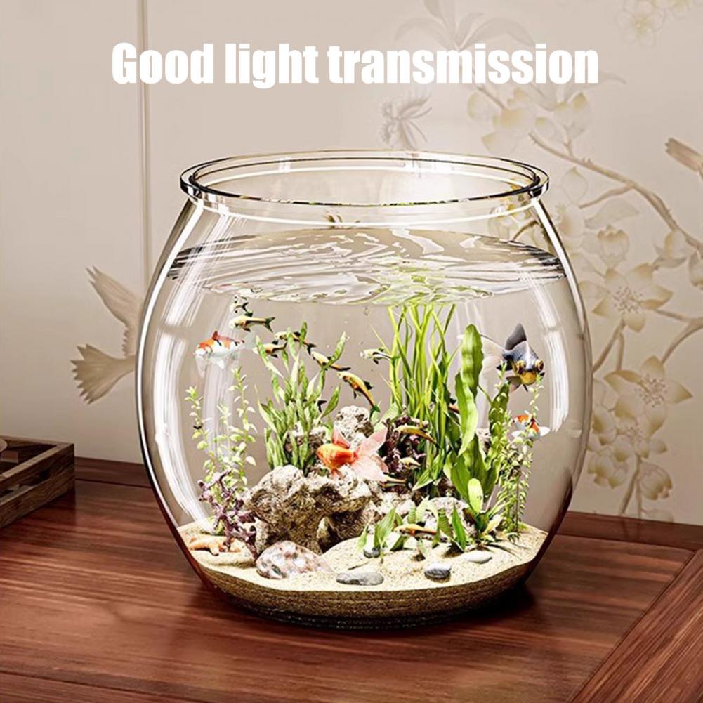 พลาสติกใสรอบชามปลา Aquarium ห้ - Plant Aquarium Pot บทวิจารณ์และราคา