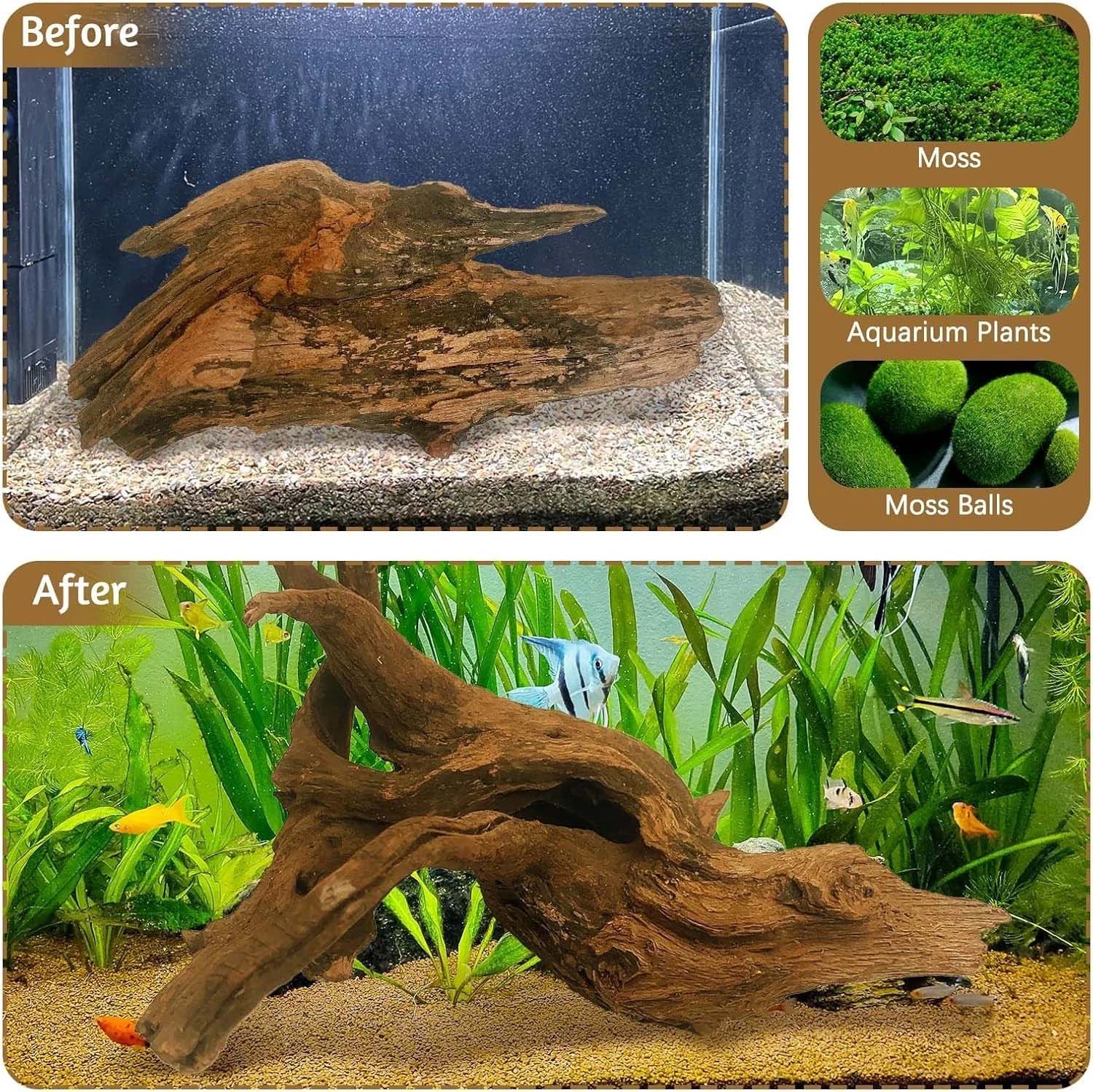 15-20 ซม. 1 ชิ้น ไม้ลอยน้ำธรรม - Aquarium Driftwood บทวิจารณ์และราคา