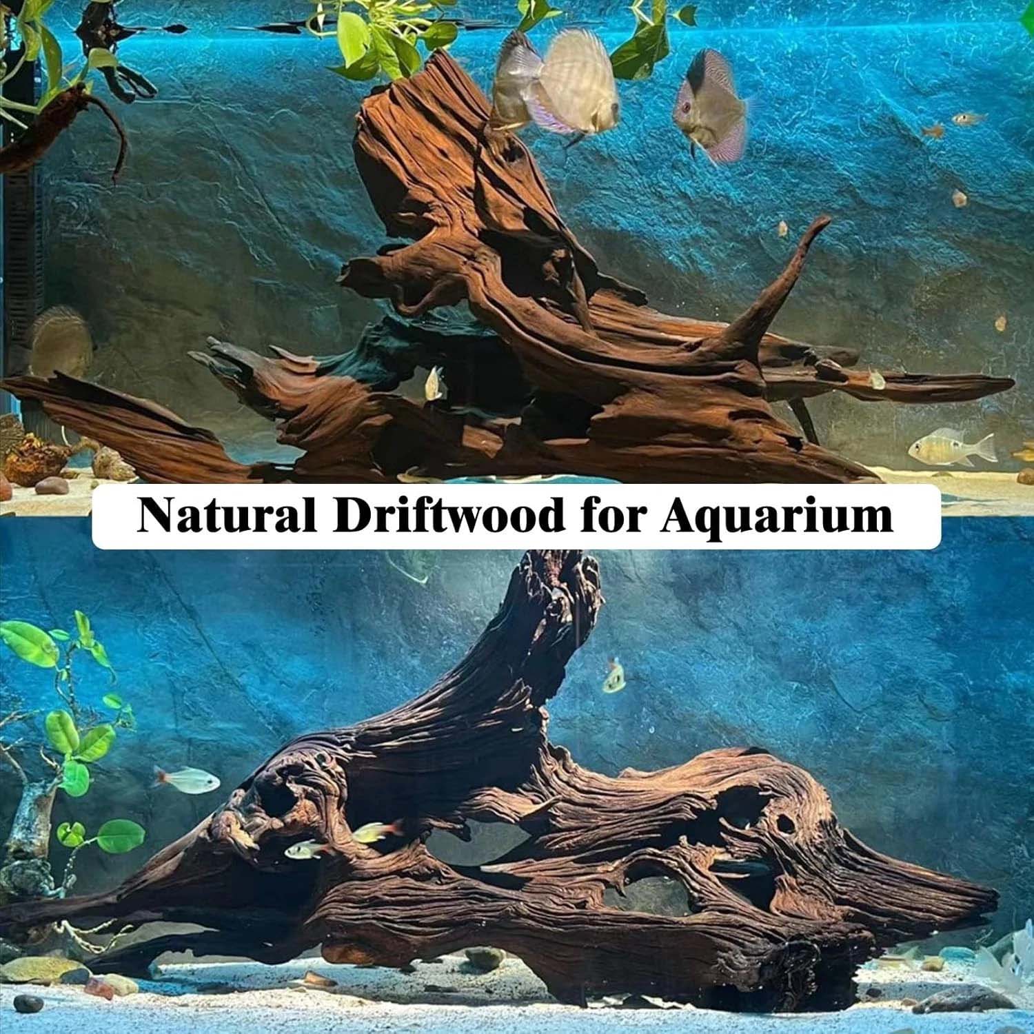 15-20 ซม. 1 ชิ้น ไม้ลอยน้ำธรรม - Aquarium Driftwood บทวิจารณ์และราคา