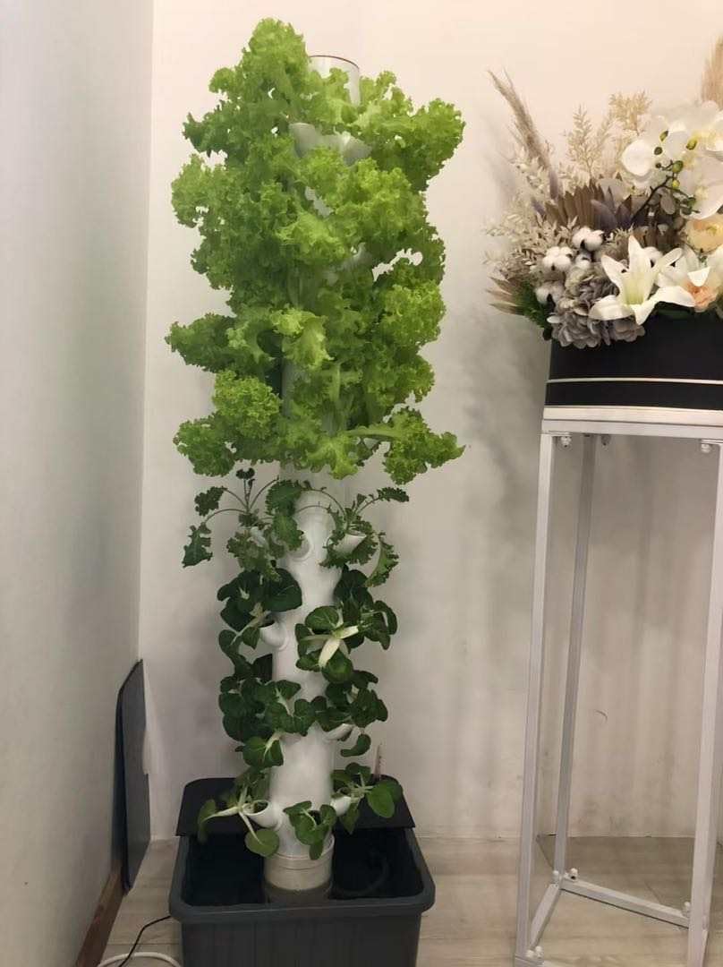 หอปลูกพืชแนวตั้งแบบไฮโดรโปนิกส - Planted Tank บทวิจารณ์และราคา