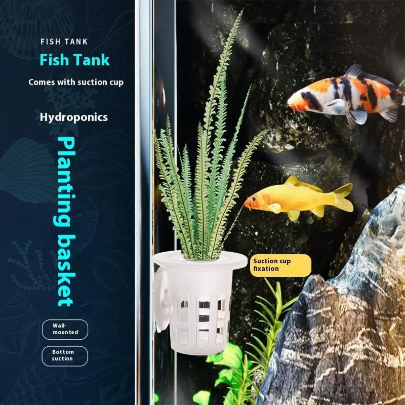 ถ้วยปลูกพืชพลาสติกสำหรับตู้ปลา - Aquarium Plants Live บทวิจารณ์และราคา
