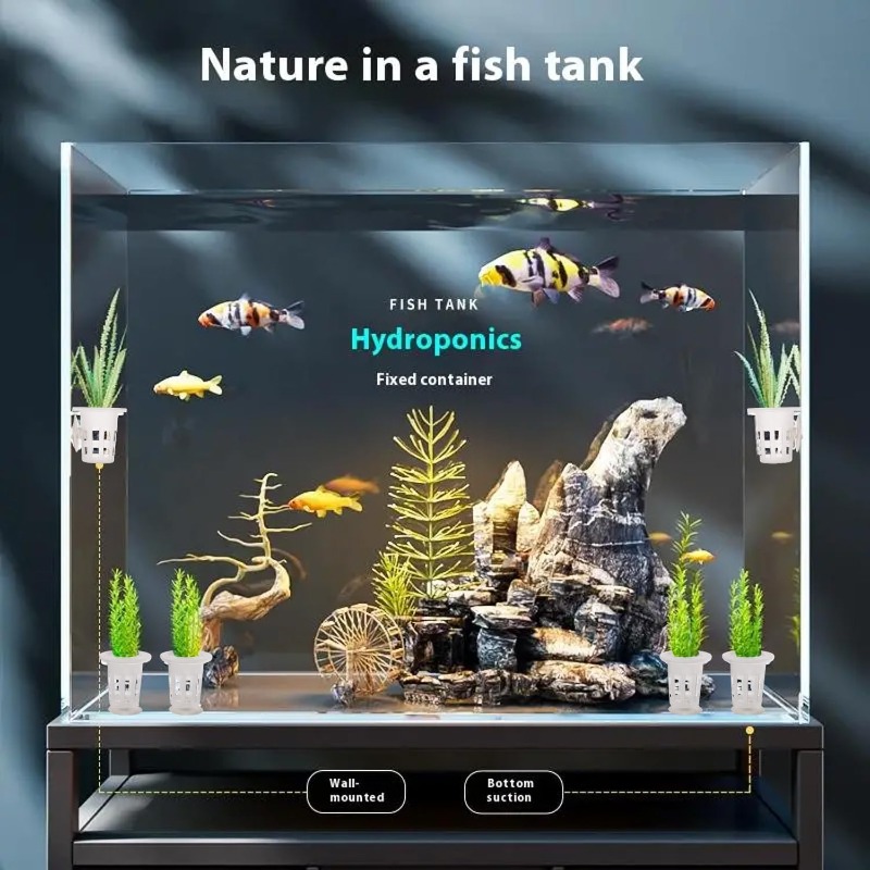 ถ้วยปลูกพืชพลาสติกสำหรับตู้ปลา - Aquarium Plants Live บทวิจารณ์และราคา