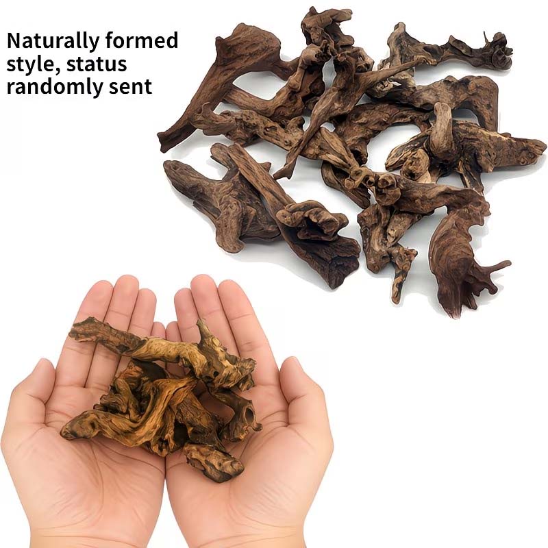 ไม้ลอยน้ำธรรมชาติขนาด 5-10 ซม. - Aquarium Driftwood บทวิจารณ์และราคา