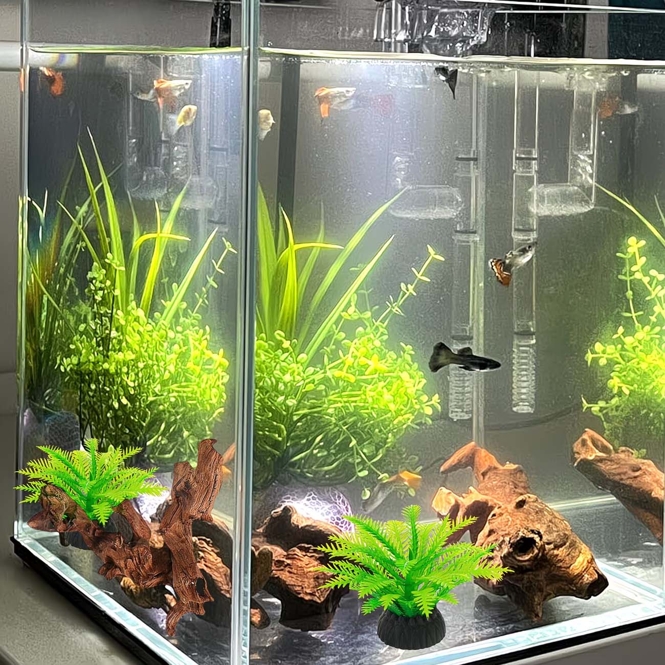 ไม้ลอยน้ำธรรมชาติขนาด 5-10 ซม. - Aquarium Driftwood บทวิจารณ์และราคา