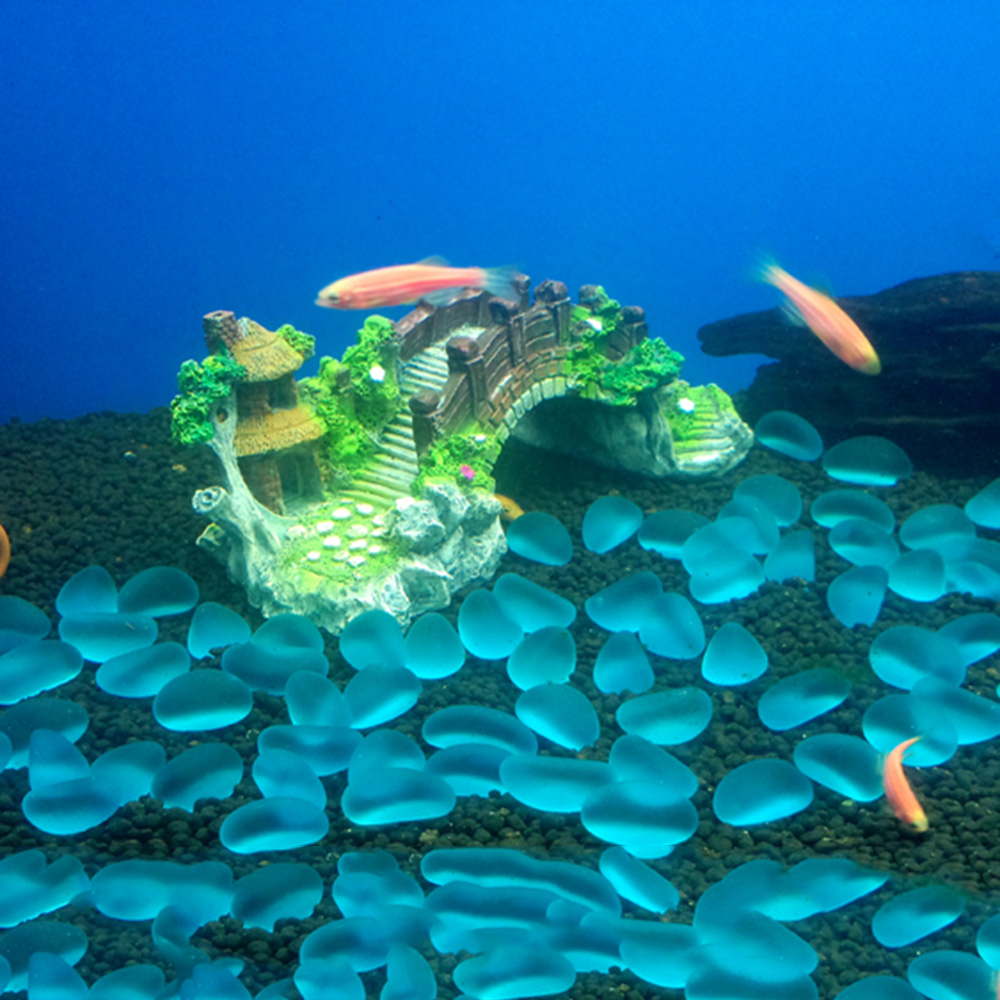 อุปกรณ์ตู้ปลา Arbor ต้นไม้ปลอม - Aquarium Driftwood บทวิจารณ์และราคา