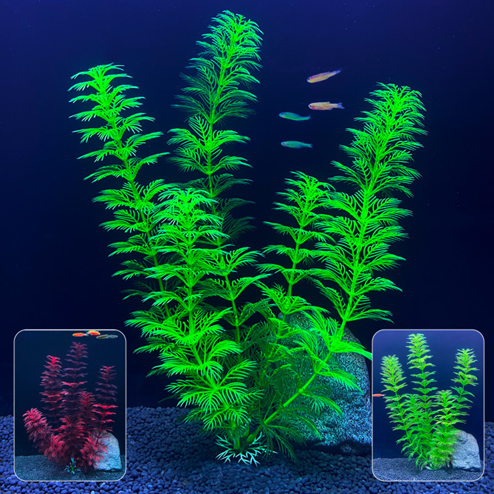 ต้นไม้ปลอมสำหรับตกแต่งตู้ปลา ข - Live Plant Aquarium บทวิจารณ์และราคา