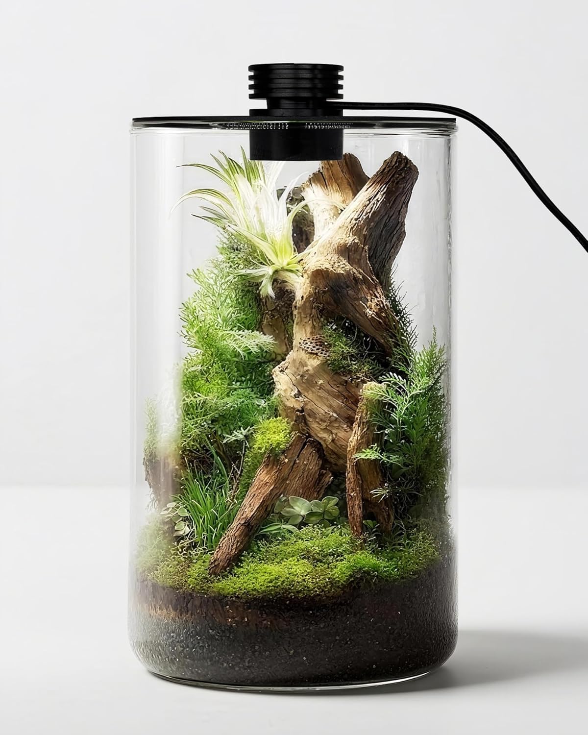 กระถางแก้วในร่มพร้อมไฟปลูกต้นไ - Planted Tank บทวิจารณ์และราคา