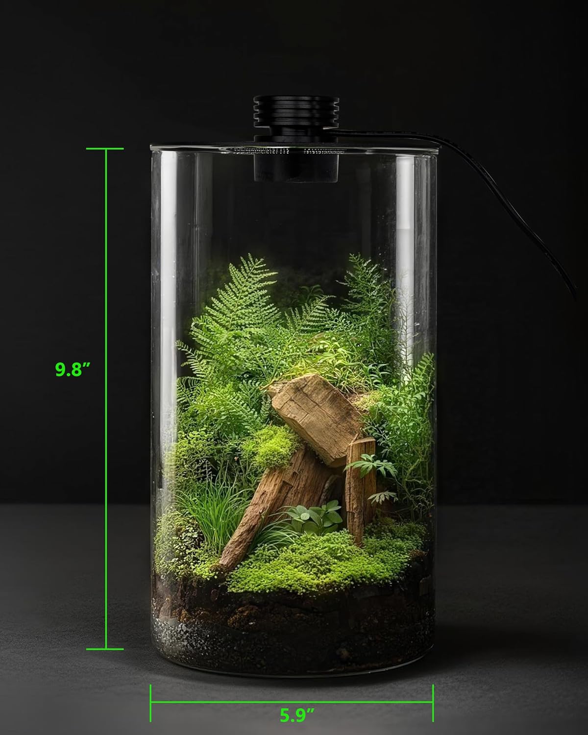 กระถางแก้วในร่มพร้อมไฟปลูกต้นไ - Planted Tank บทวิจารณ์และราคา