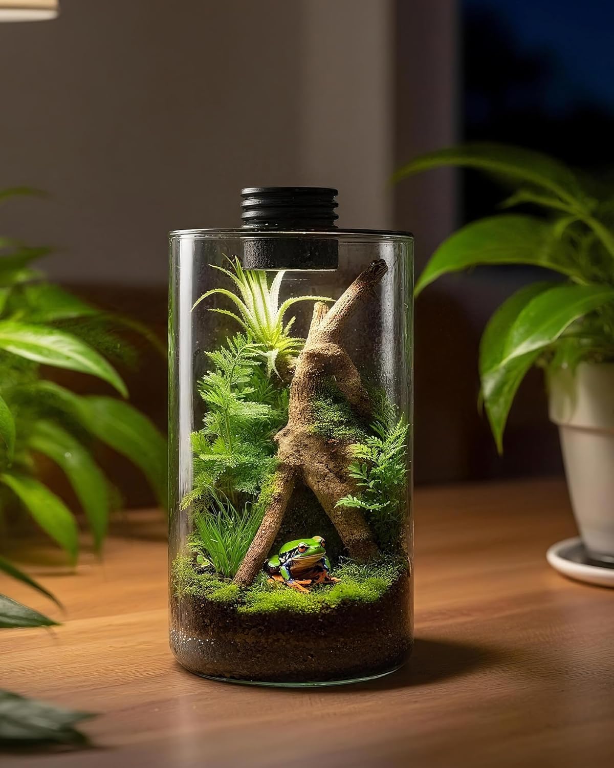 กระถางแก้วในร่มพร้อมไฟปลูกต้นไ - Planted Tank บทวิจารณ์และราคา