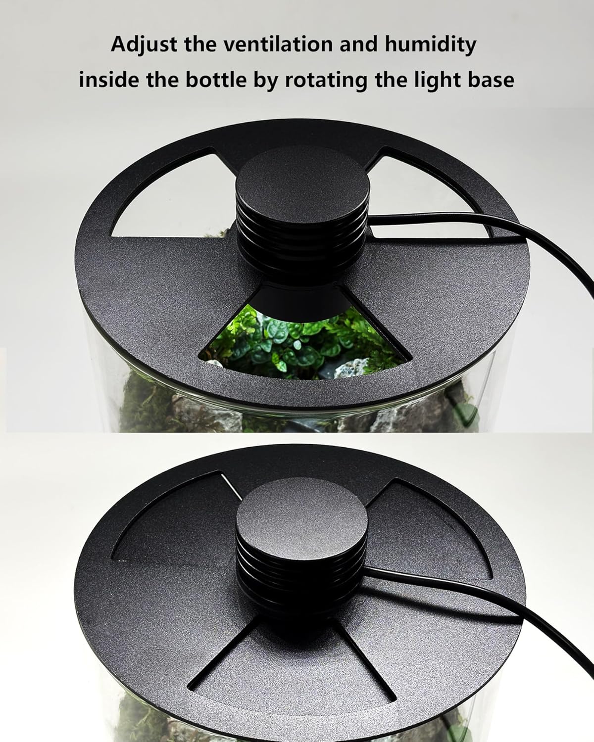 กระถางแก้วในร่มพร้อมไฟปลูกต้นไ - Planted Tank บทวิจารณ์และราคา