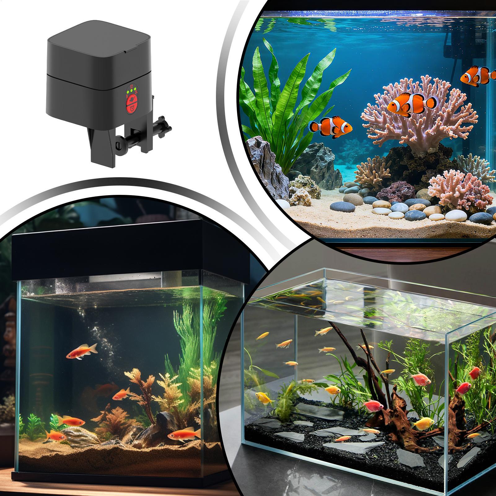 เครื่องให้อาหารปลาอัตโนมัติสำห - Aquarium Fertilizer บทวิจารณ์และราคา