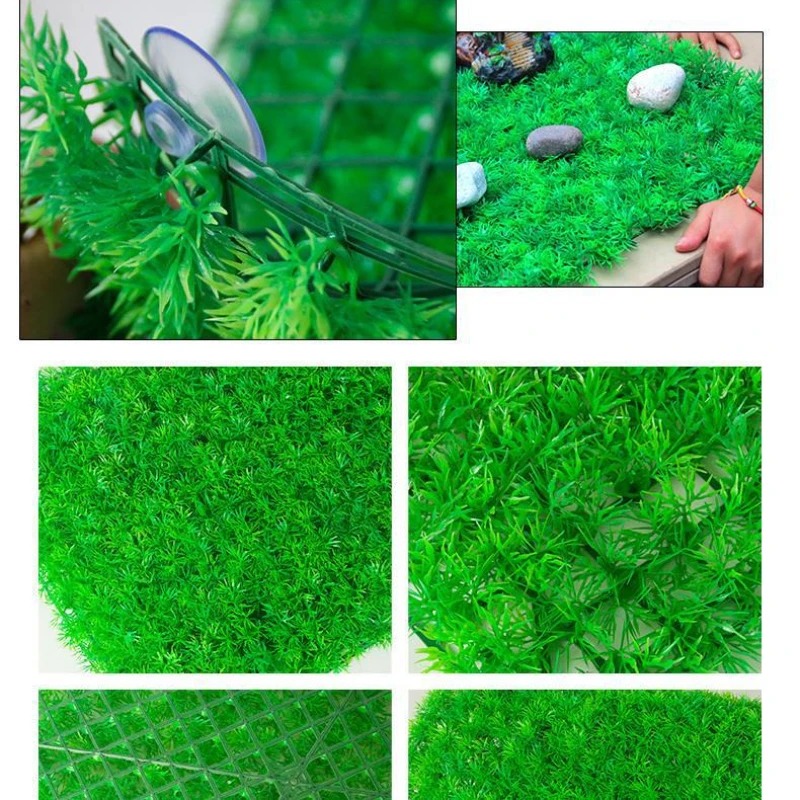 หญ้าเทียมสำหรับตกแต่งตู้ปลาตู้ - Live Plant Aquarium บทวิจารณ์และราคา