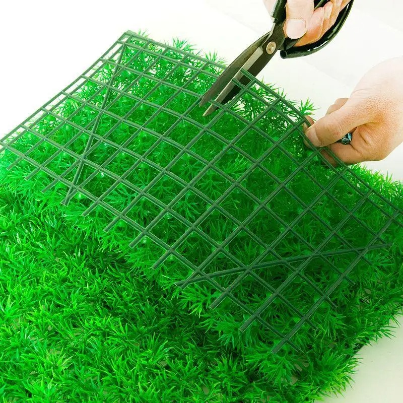 หญ้าเทียมสำหรับตกแต่งตู้ปลาตู้ - Live Plant Aquarium บทวิจารณ์และราคา