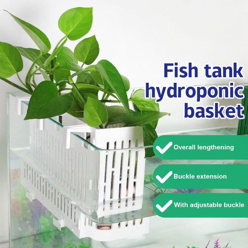 【F】กระถางแขวนตู้ปลา ที่วางต้นไ - Aquarium Plant Holder บทวิจารณ์และราคา