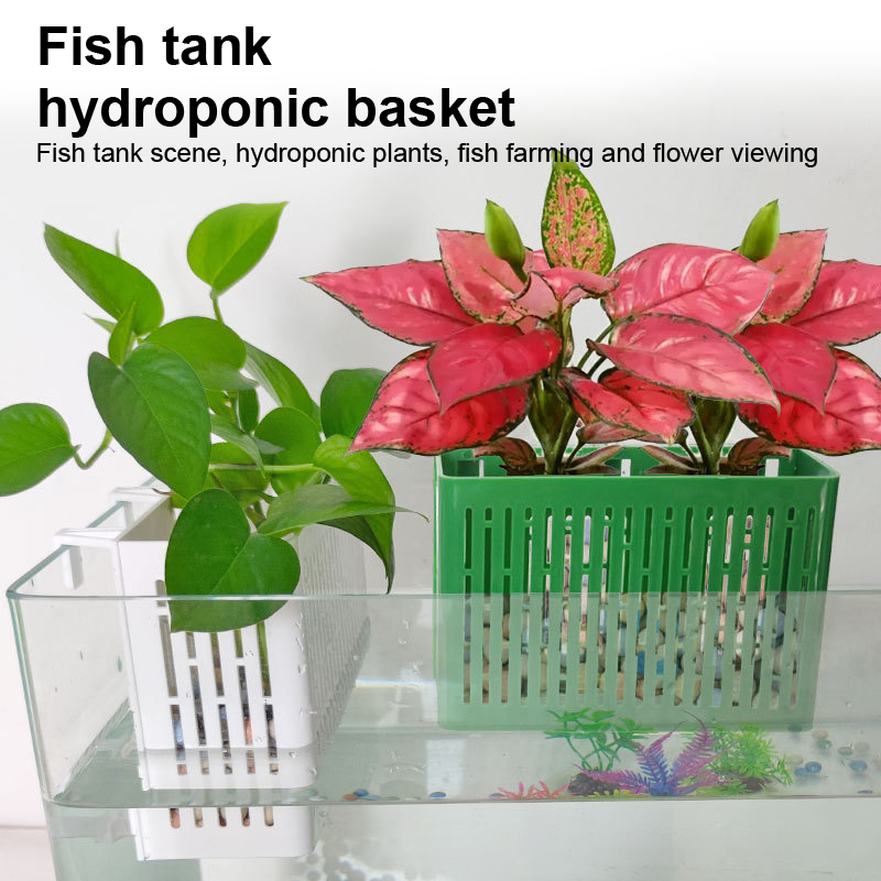 【F】กระถางแขวนตู้ปลา ที่วางต้นไ - Aquarium Plant Holder บทวิจารณ์และราคา
