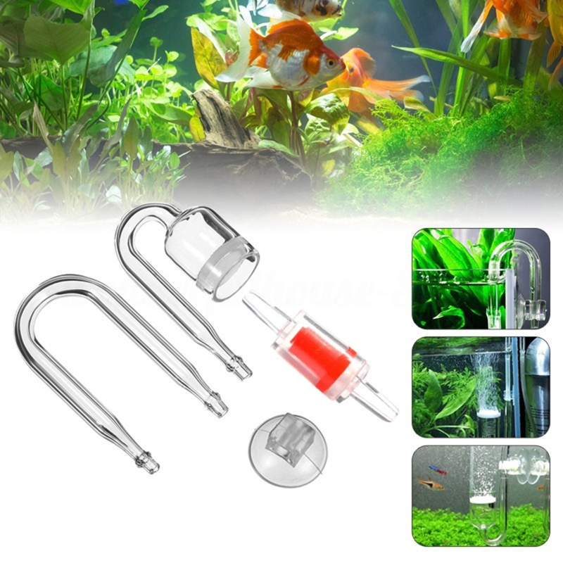 DIY ชุดกระจาย CO2 4ชิ้นสำหรับต - Aquarium Moss บทวิจารณ์และราคา