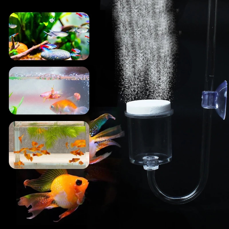 DIY ชุดกระจาย CO2 4ชิ้นสำหรับต - Aquarium Moss บทวิจารณ์และราคา