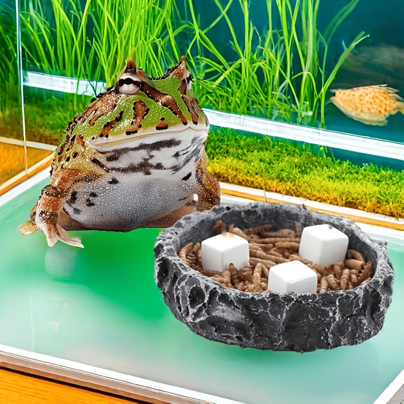หินแคลเซียมสำหรับตู้ปลา 6 ชิ้น - Aquarium Plants Live บทวิจารณ์และราคา