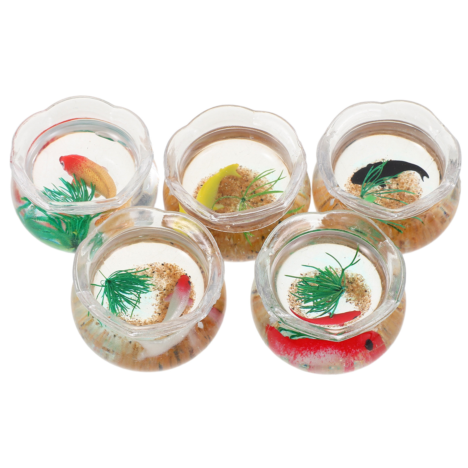 5 ชิ้น ตู้ปลาจิ๋ว ตู้ปลาคาร์ปจ - Planted Tank บทวิจารณ์และราคา