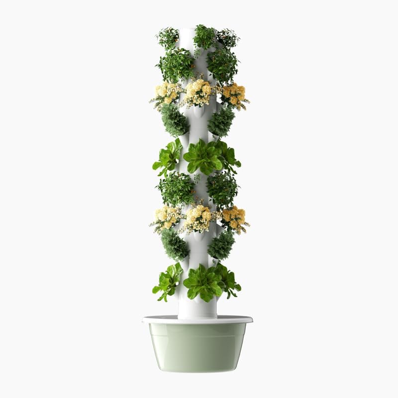 หอปลูกพืชไฮโดรโปนิกส์แนวตั้งแบ - Planted Tank บทวิจารณ์และราคา